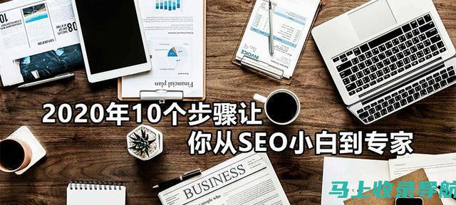 SEO实战手册：网站优化教程及案例分析